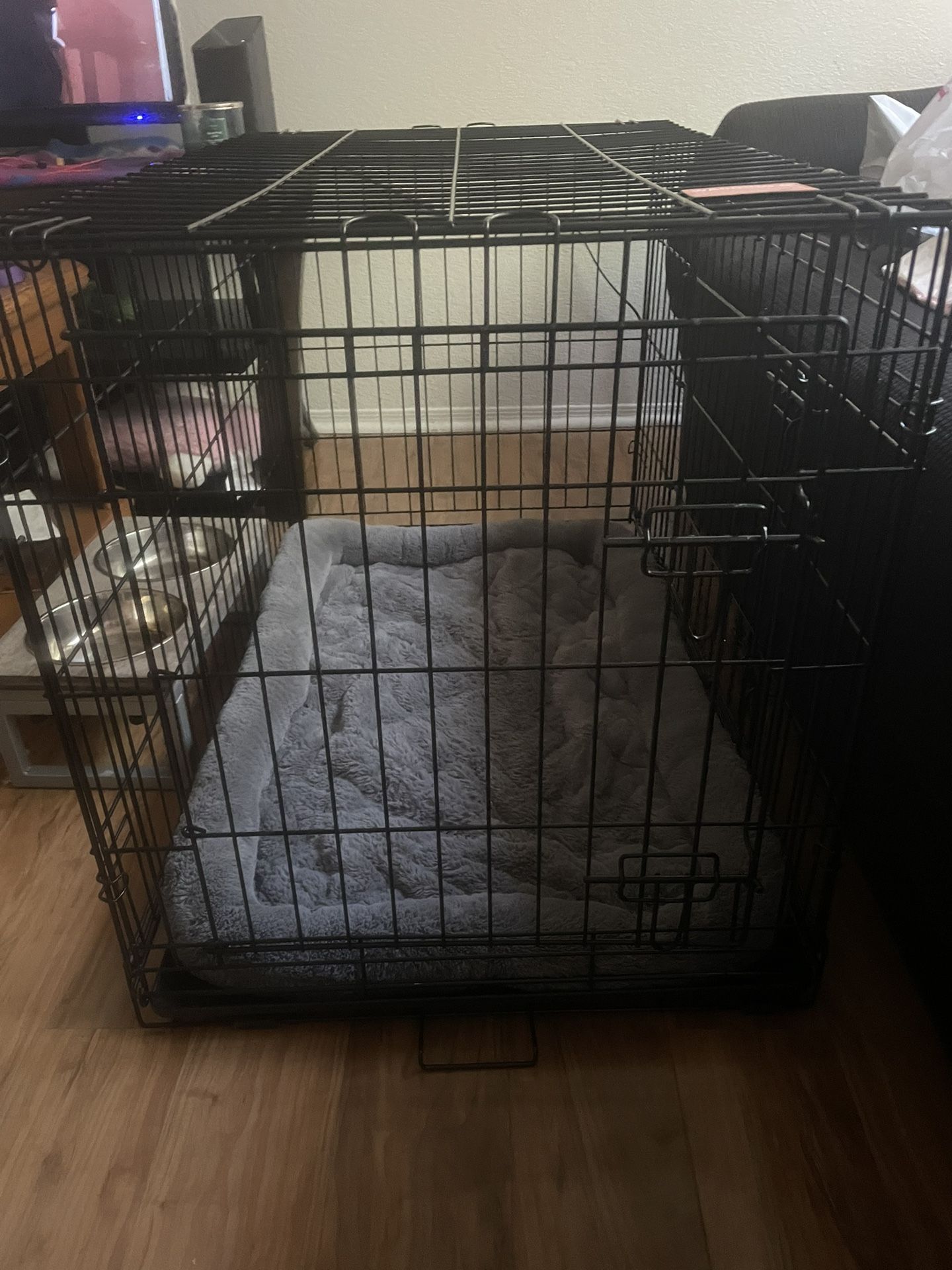 Kennel
