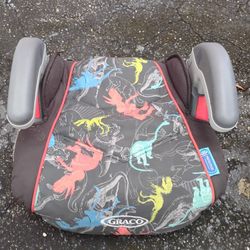 Graco Booster Car Seat