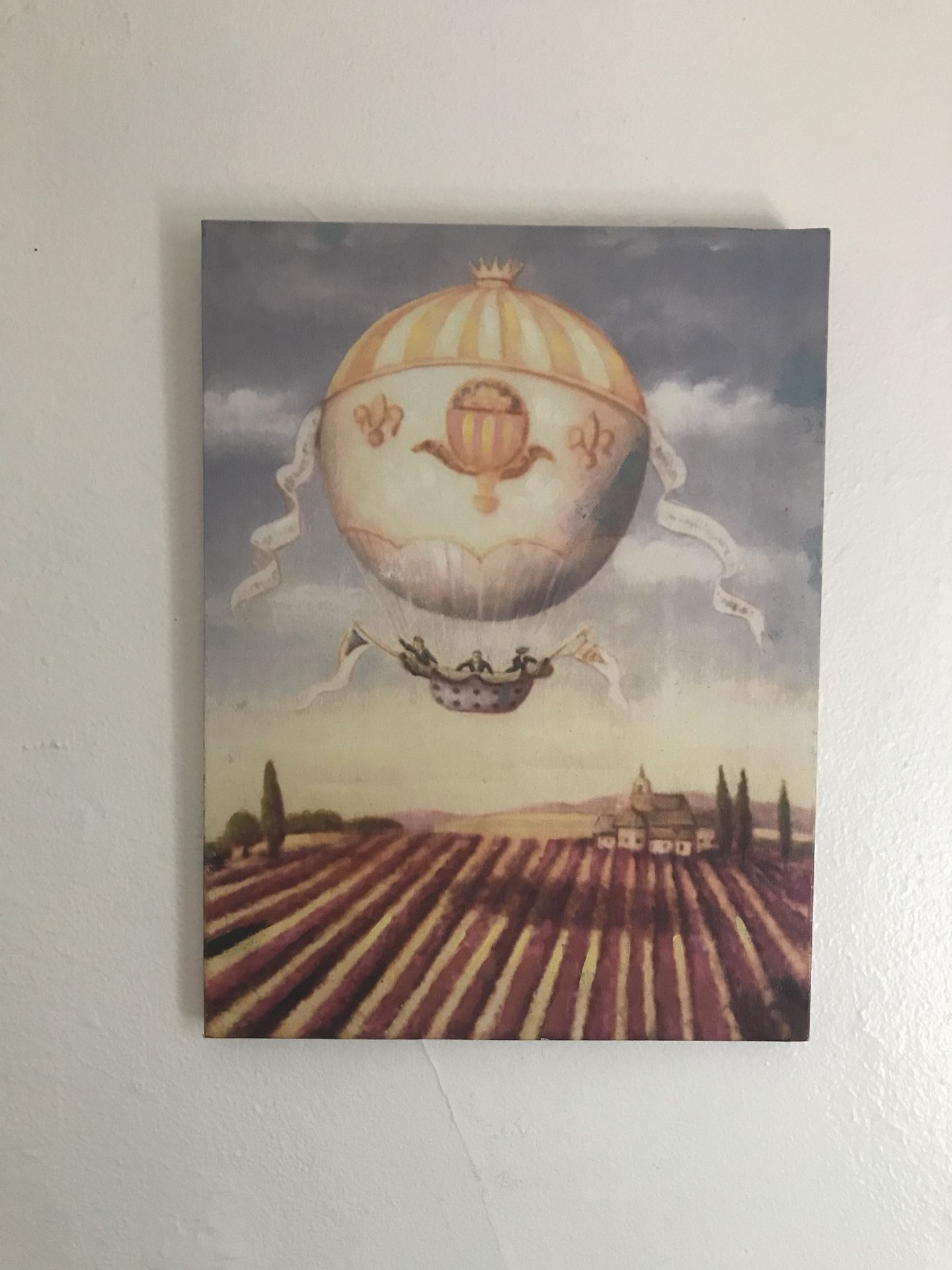 Hot air balloon print on canvas