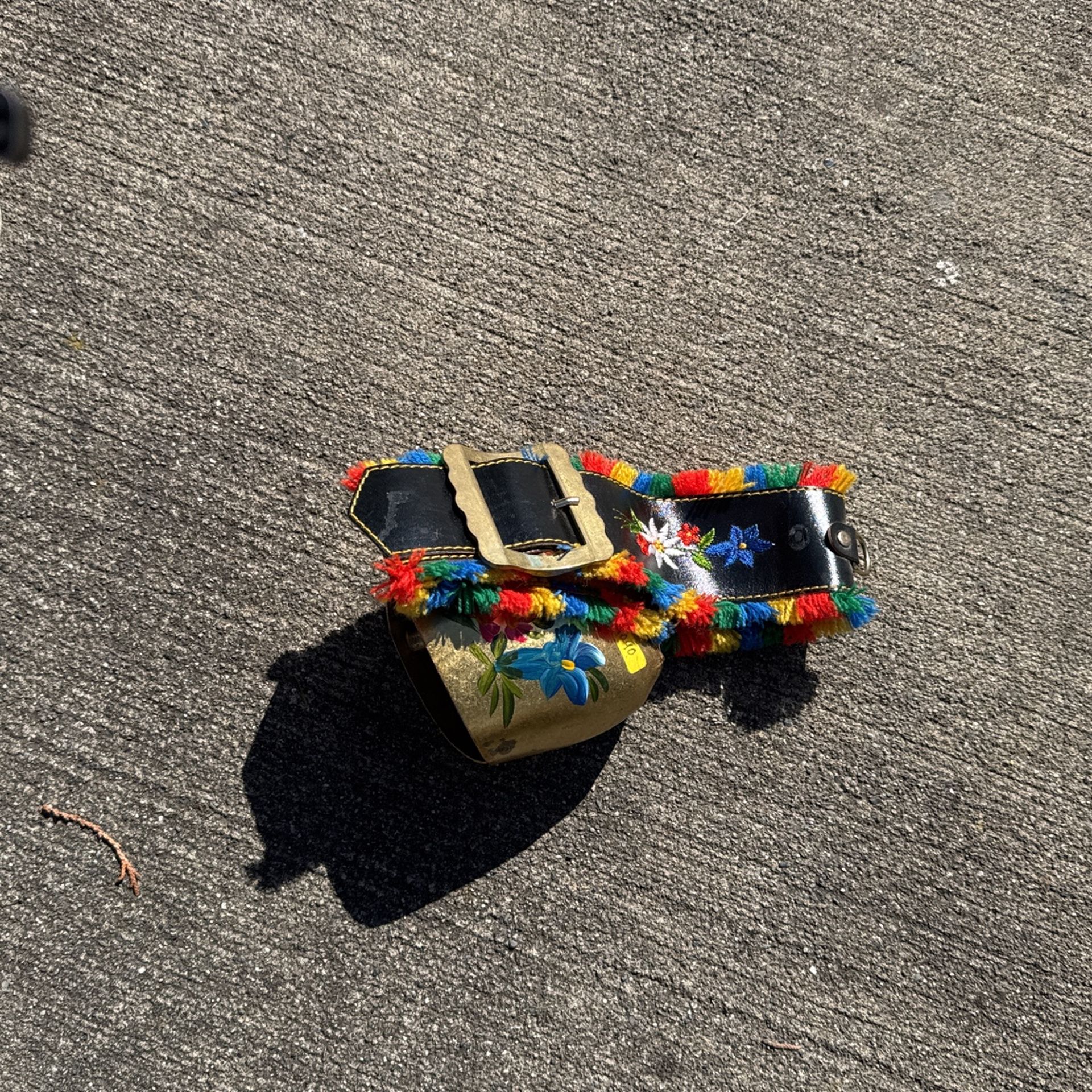 Beautiful Bell 🛎️ In A Belt