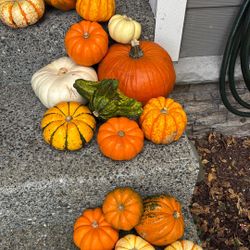 Free Pumpkins
