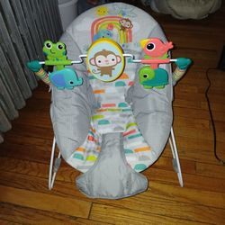 Baby Bouncer 