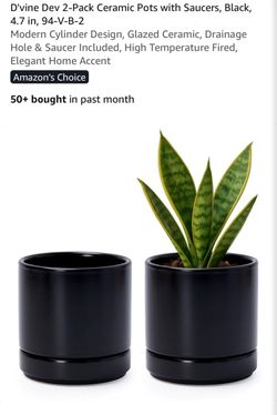 D'vine Dev 2-Pack Black Ceramic Pots with Saucers