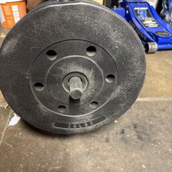 Bench And Weights 