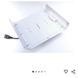 White Rose Grow Light