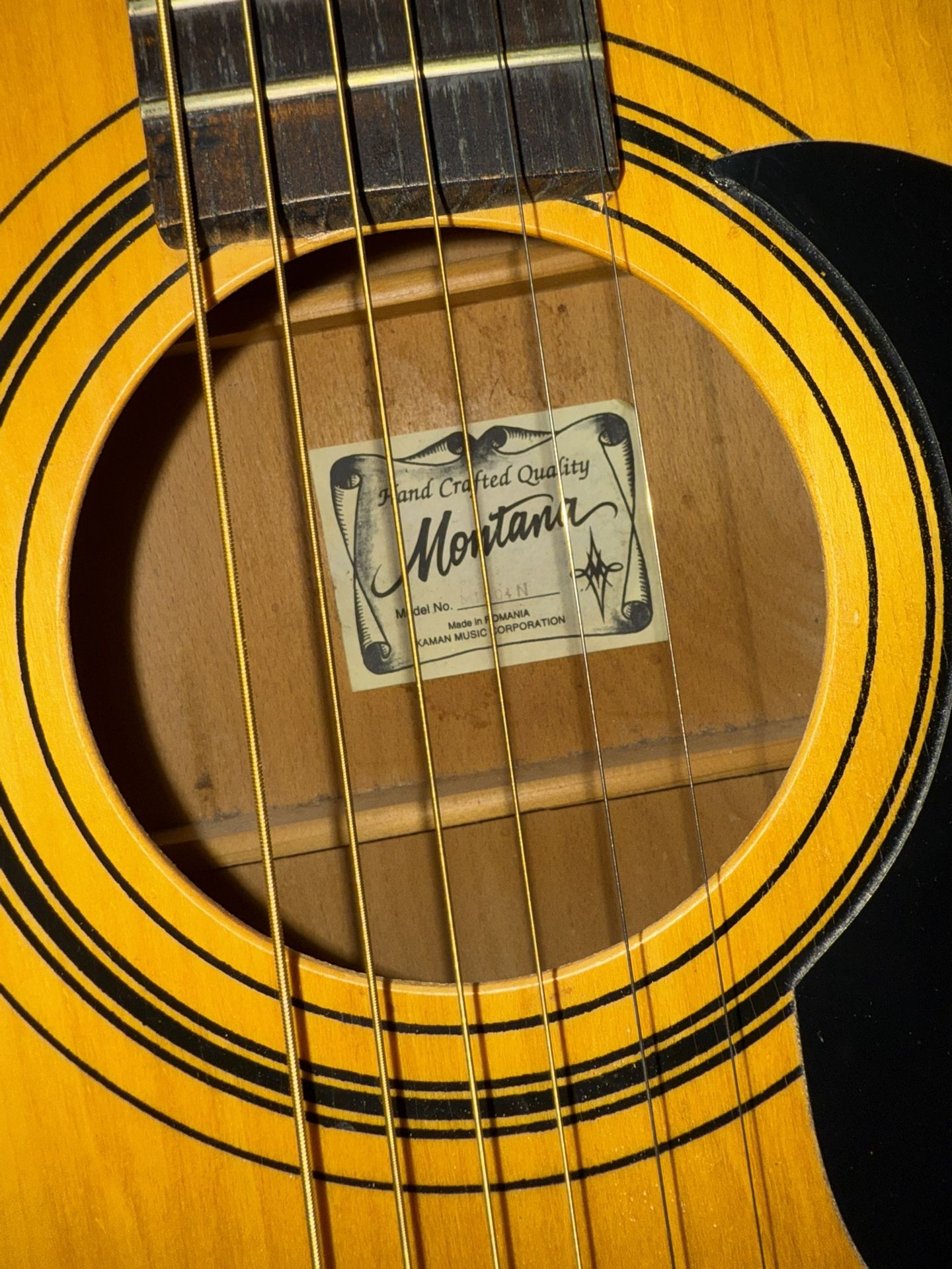 Montana M-1AN Acoustic Guitar + Hard Case