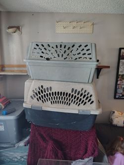 2 travel cAges