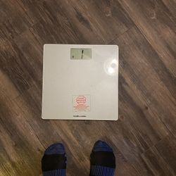 Scale 