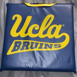 Ucla Seat Cushion