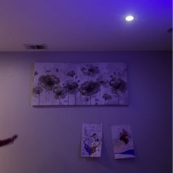 Canvas Wall Decor 