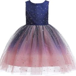 Princess Sparkle Tulle Dress