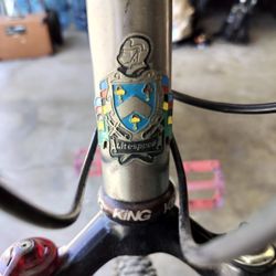 Litespeed Mountain Bike - Womens