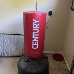 Punching Bag