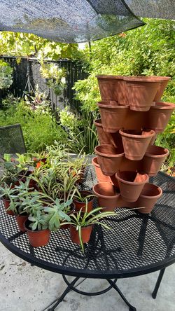 6 pc Plant tower, 18  plants (24 pc)