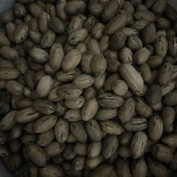 Pecans
