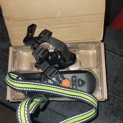 Dog Training Collar