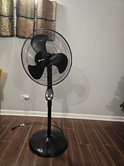 Room Fan
