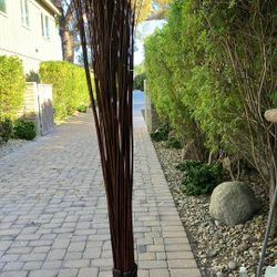 Dried Bamboo Stick Plants
