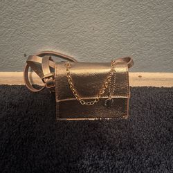 Mini Light Pink Purse With A Charm