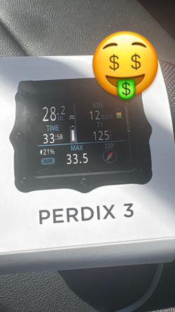 Diving watch