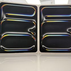 iPad Pro 13inch 256GB WiFi LTE 