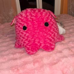 Prize Plushie From Round 1 Plaza Bonita