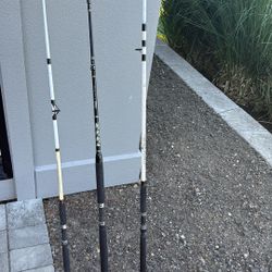  3 Fishing Poles And A Reel  One Coastal Tuff, One Competition, One Brand New Lamaglass Pole  And A Reel