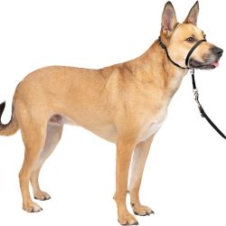 No-Pull Head Collar for Dogs, Dog Head Collar