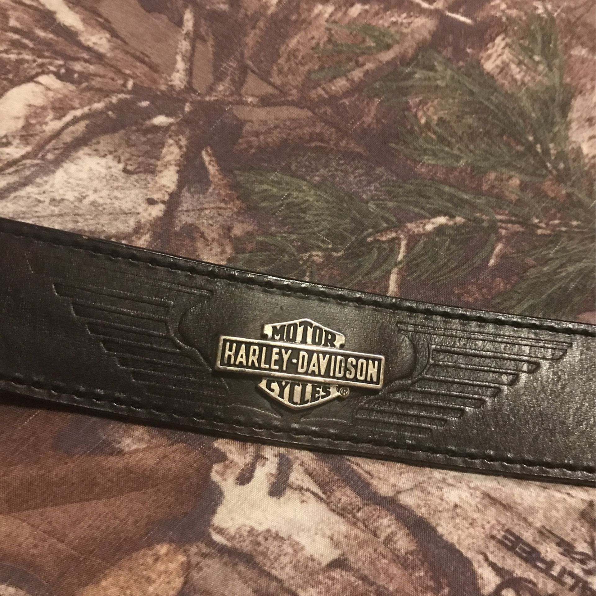 Harley Belt 