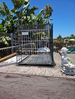 Free dog crate