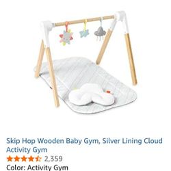 Baby Bouncer & Baby Gym