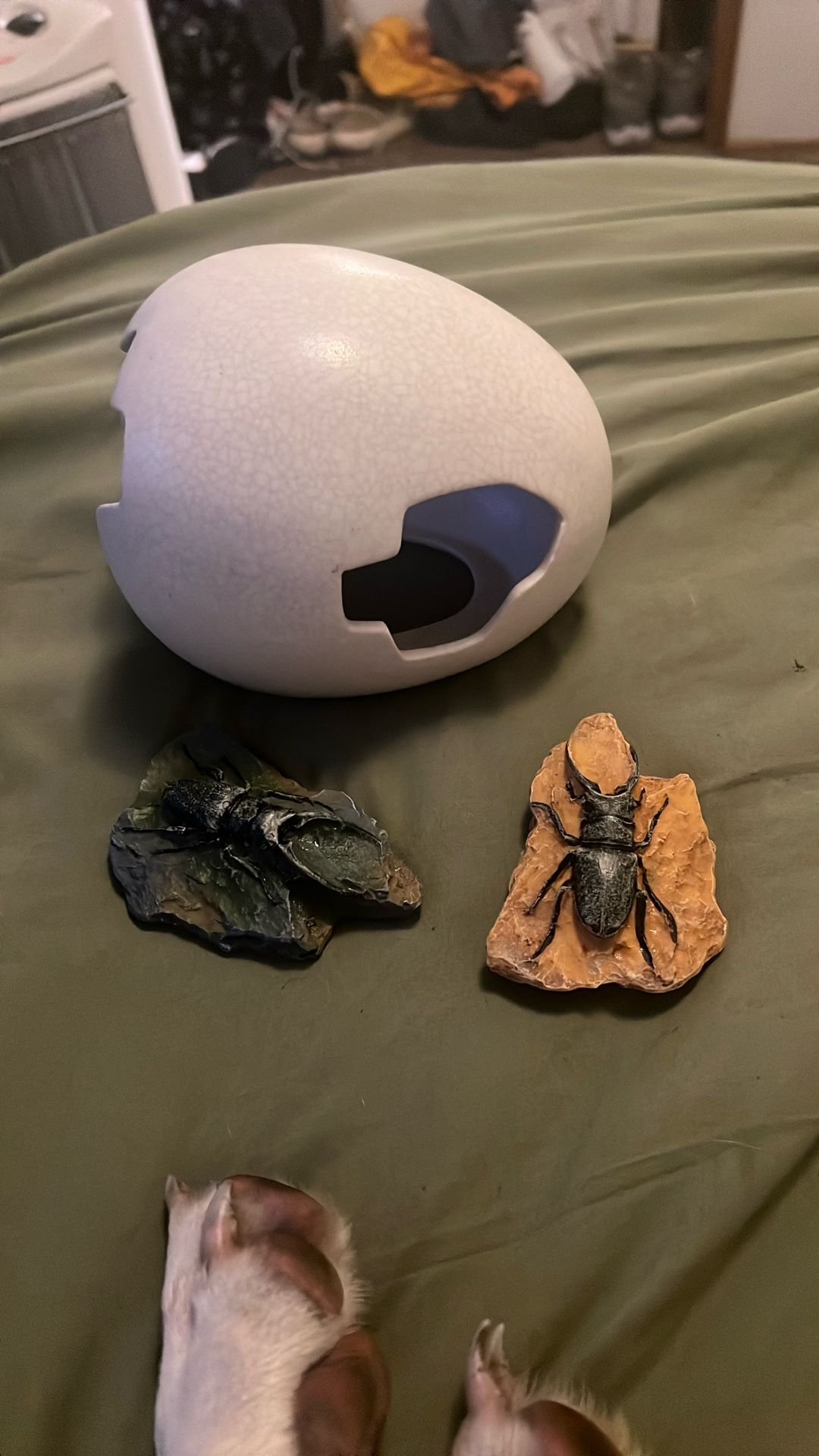 Reptile Decor-lights