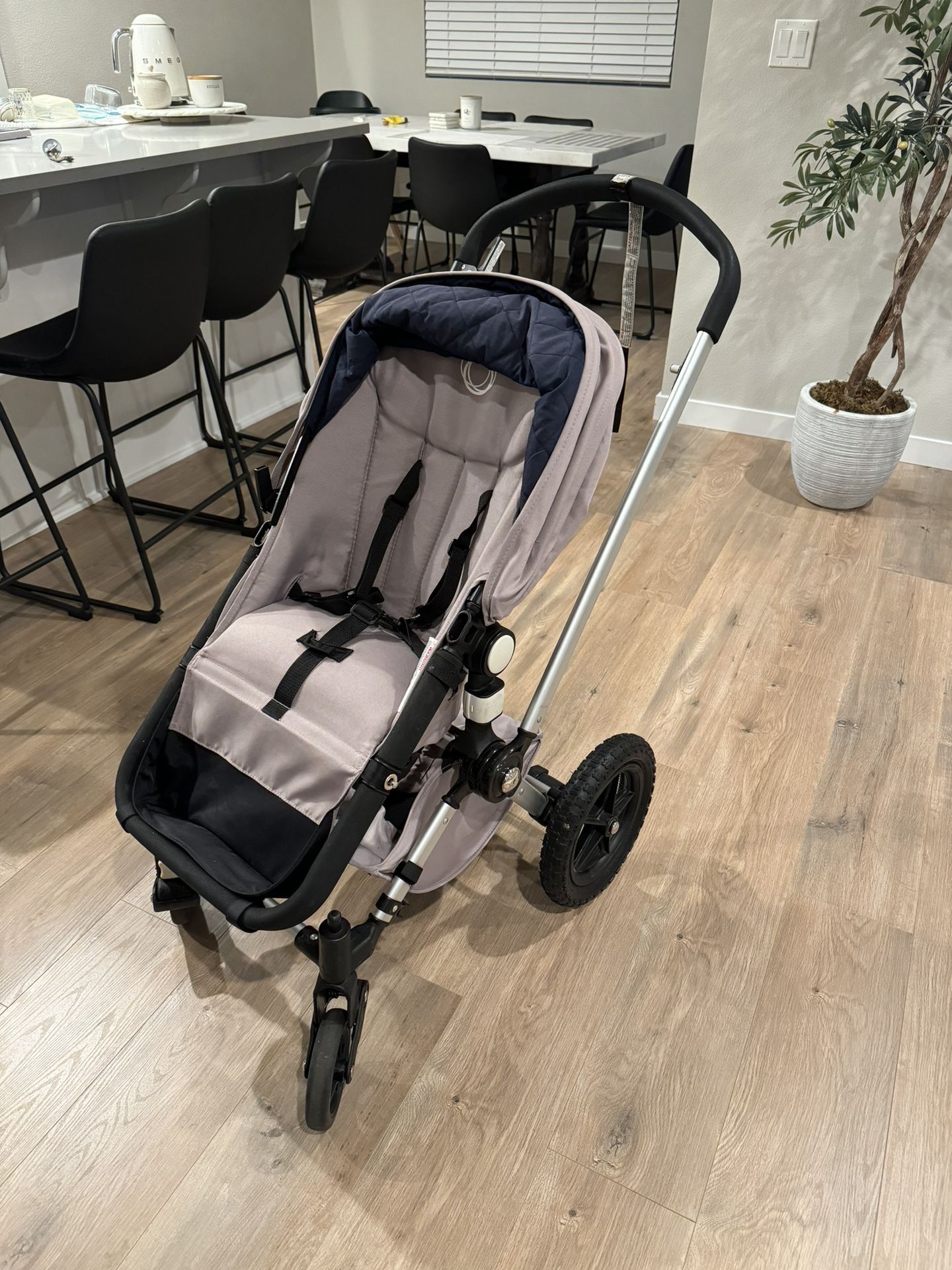 Bugaboo Chameleon Frog Stroller