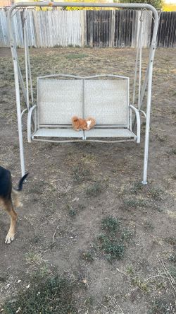 Swing Bench 