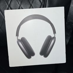 Apple Headphones
