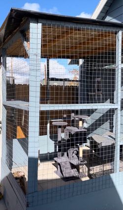 CATIO - Cat Kennel