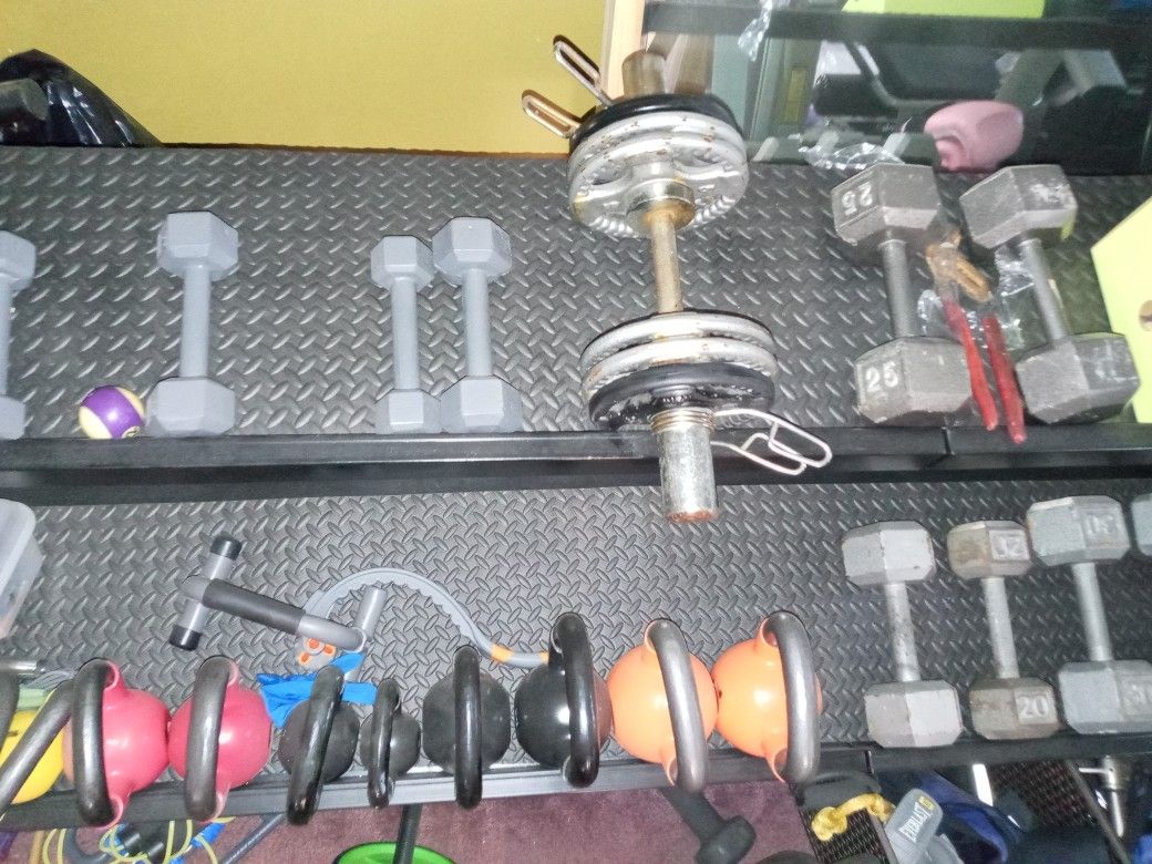 50lb Dumbell $100