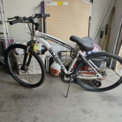Schwinn 29 Inch Mens Bike