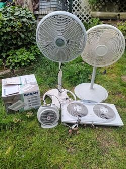 !?! FAN LOT !?!