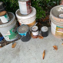 Free Paint