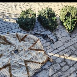 Christmas Tree 7.5 Ft With Skirt