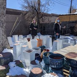 3/6 - Free w/ Purchase Plant + Planter Sale Returns - People Who Don't Like Reading Remain Confused