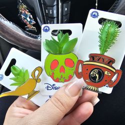 Succulent Planter Disney Pins