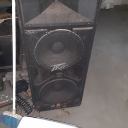 Peavey 17 Inch Speaker Box 