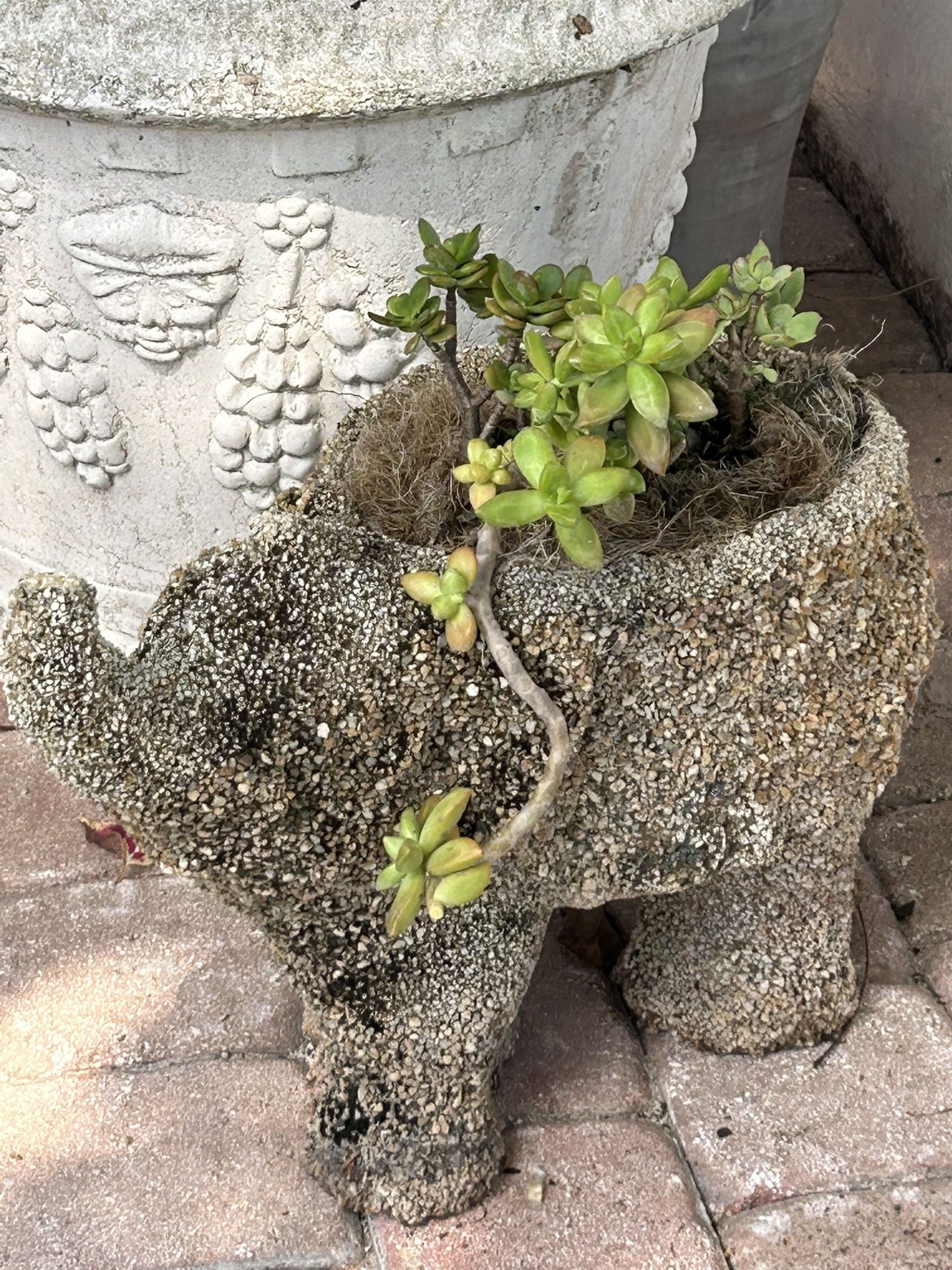 Vintage Planter Chattahoochee Elephant Pot With Succulents