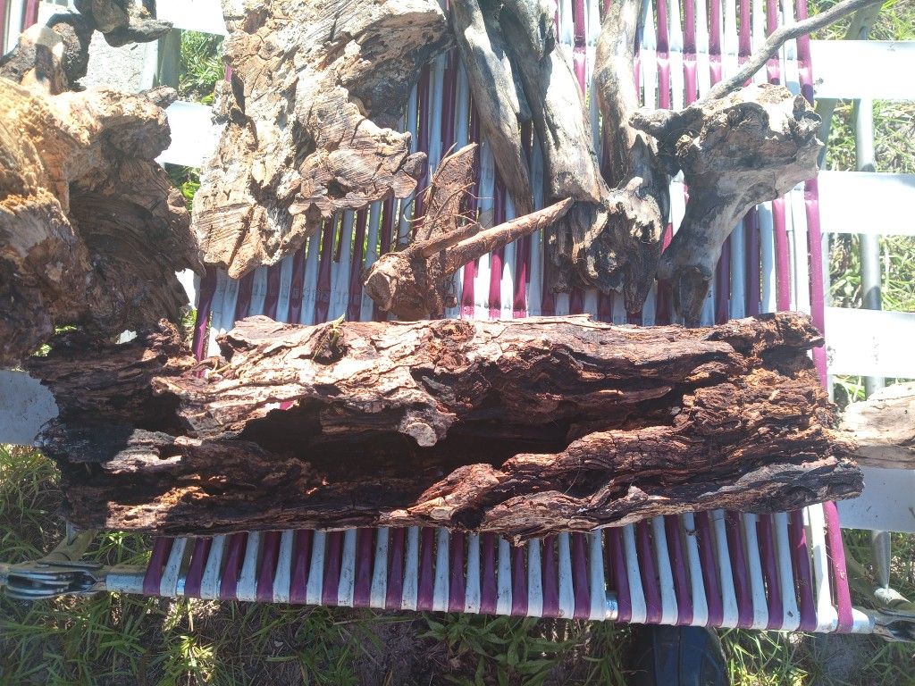 Aquarium, Terrarium And Tank Enclosure Enrichment