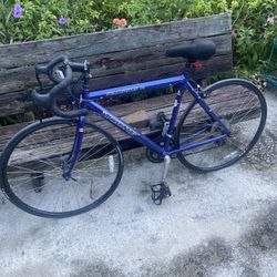 Windsor Wellington 10 Touring Road Bike with Shimano (needs tires) - Compare @$300