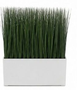 Two Artificial Grass Plant in White Planter