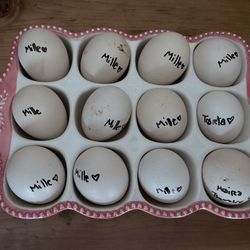 Silkie Eggs