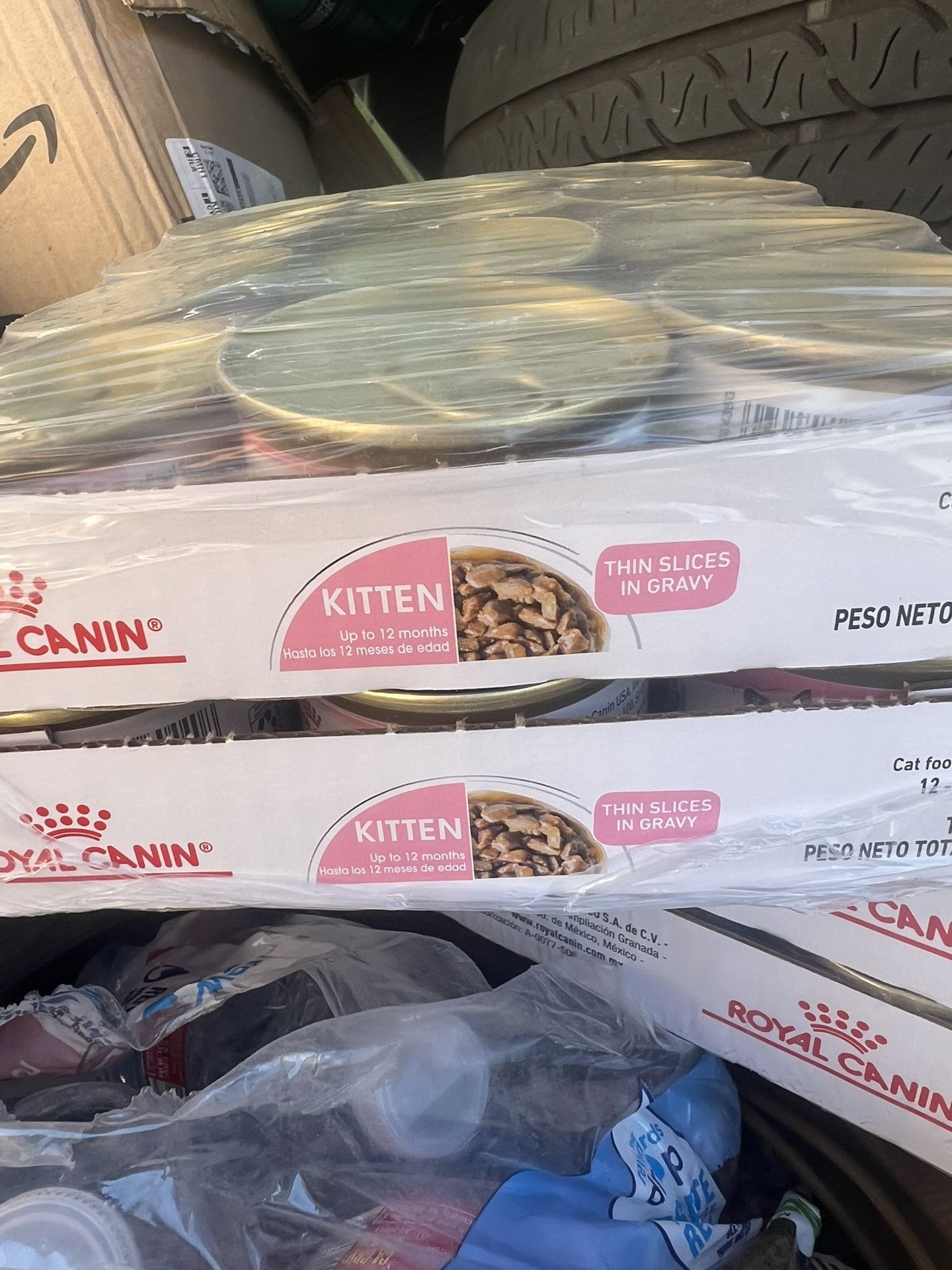 Royal Canin kitten Food (wet)